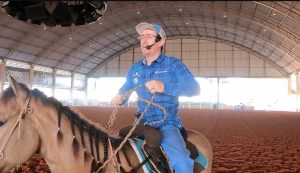 Curso com Décio Talon pretende explorar características específicas dos cavalos