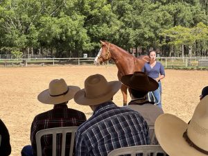 Encontro Internacional de Horsemanship se consagra em mais uma edição