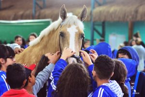 Nacional Mangalarga recebe visita de estudantes do Ensino Fundamental e de Medicina Veterinária