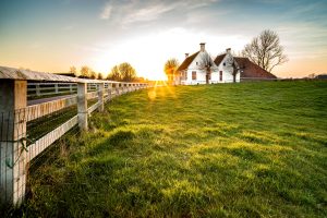 Garantindo a segurança e direitos – A importância do registro de um imóvel rural