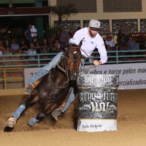 Haras Raphaela recebe até domingo a Copa & Potro do Futuro WV
