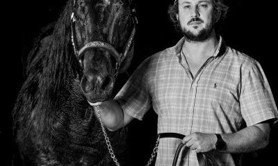 Murilo Ceccon é destaque no mercado de cavalos Quarto de Milha