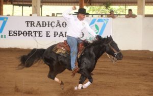 Potro do Futuro de Laço Comprido 2023 consagra vitória de MOONSTONITA