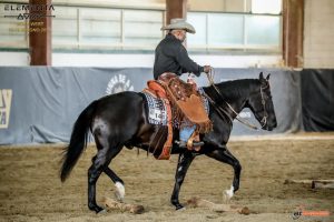 Treinador brasileiro se classifica para  Mundial de Ranch Riding