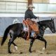 Treinador brasileiro se classifica para o Mundial de Ranch Riding