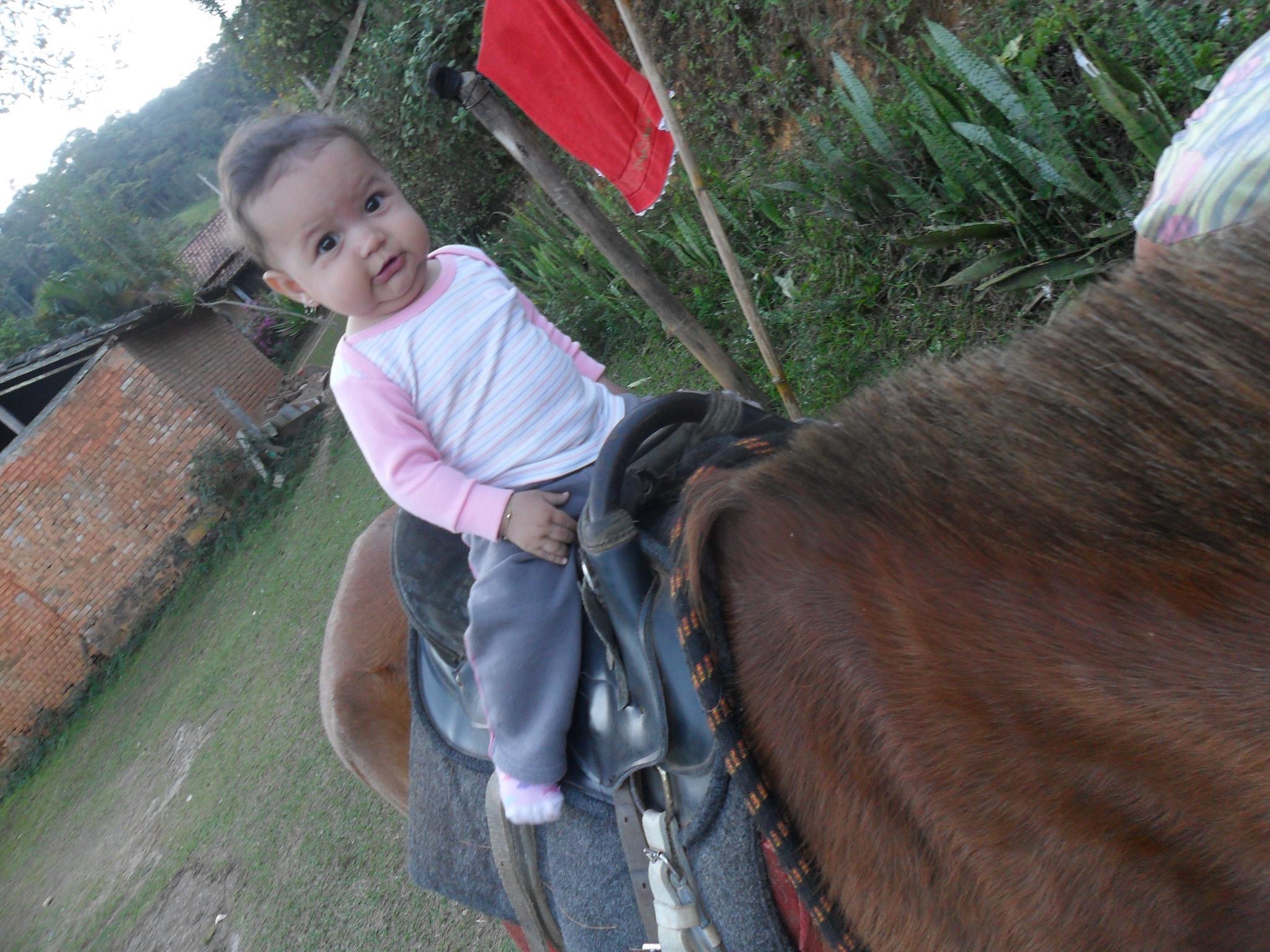 A pequena Luiza e o sonho com os cavalos
