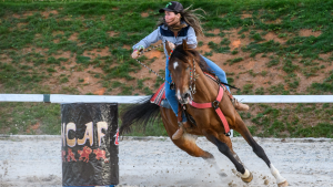 Abertas as inscrições para grandes eventos do Cavalo Árabe no Centro Hípico de Tatuí