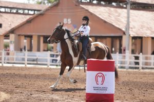 Campeonato Brasileiro de Provas Esportivas e Sociais destaca a força do Mangalarga Marchador