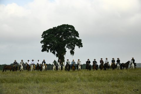 Cavalgada do Haras Padania percorreu 100km no período de 4 dias