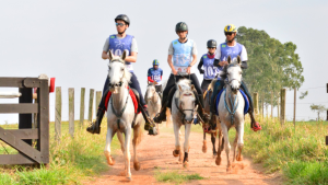 Cavalo Árabe resiste a mais um desafio climático na Copa Nacional de Enduro