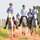 Cavalo Árabe resiste a mais um desafio climático na Copa Nacional de Enduro