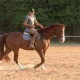 Como treinar um cavalo antes de uma prova de salto