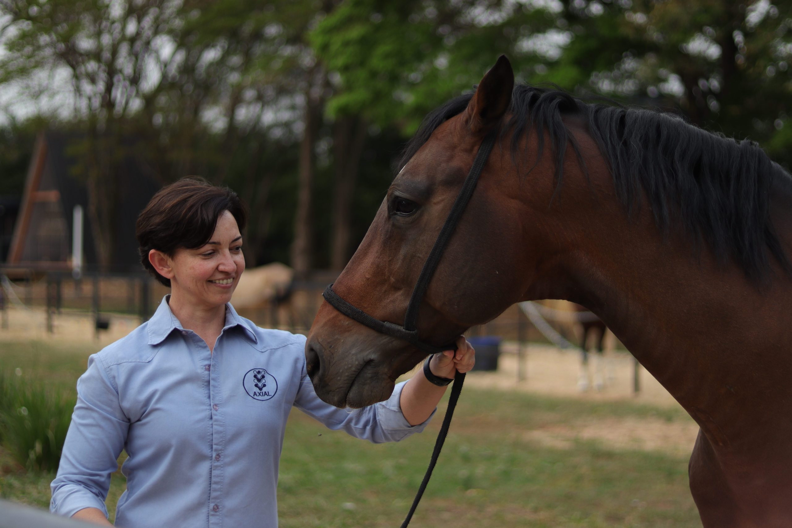 Curso ESS - Equine Spine Specialists é oportunidade para se aprofundar na coluna dos cavalos