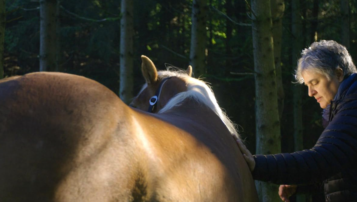 Documentário ‘Visions in the Dark’ aborda a intuitiva conexão entre cavalos e humanos