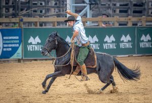 Doma de Ouro e Um Ano de Freio tem campeões consagrados