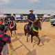 Encontro Nacional de Muladeiros tem fomento da raça do Cavalo Mangalarga