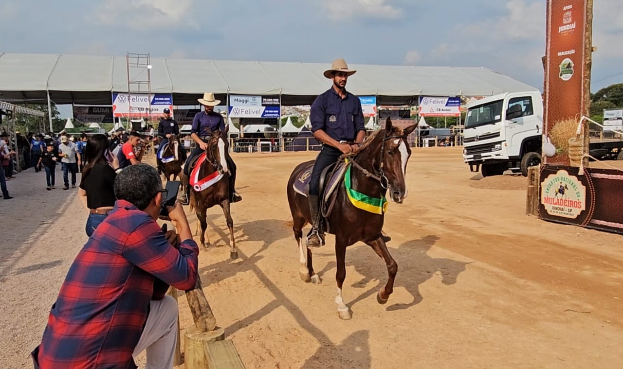 Encontro Nacional de Muladeiros tem fomento da raça do Cavalo Mangalarga