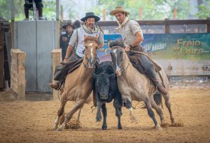 Final Nacional da Paleteada apresenta os campeões das Forças A e B