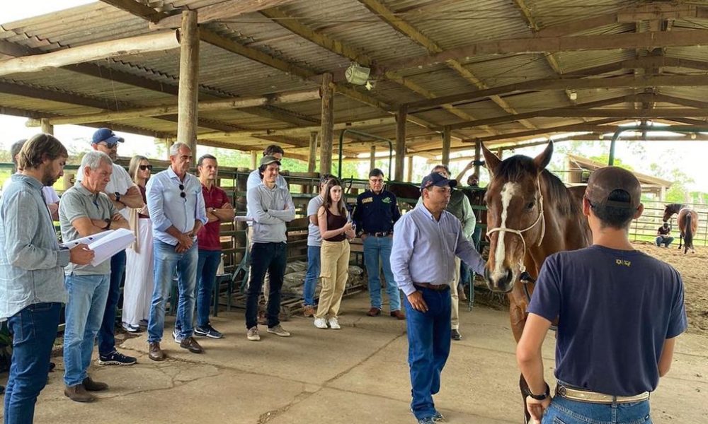 Formando especialistas da raça ABCCA promove VII Curso de Juízes do Cavalo Árabe