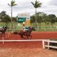 Jockey Club de Sorocaba tem final de semana agitado com disputas acirradas