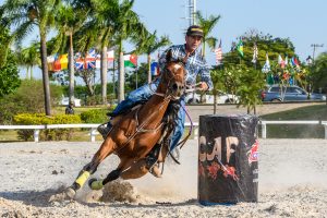 Tatuí sedia em novembro exposições que enaltecem a funcionalidade do Cavalo Árabe