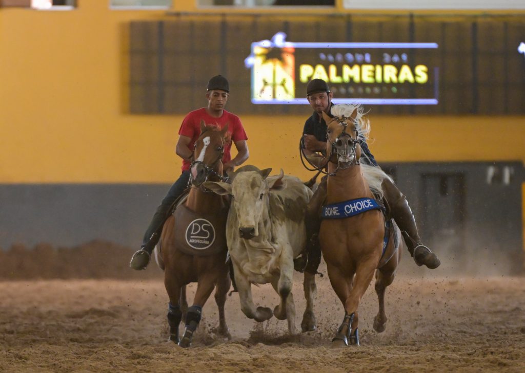 21º Potro do Futuro e Campeonato Nacional de Vaquejada encerram o calendário de provas anual da ABQM