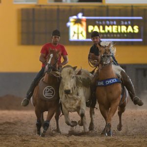 21º Potro do Futuro e Campeonato Nacional de Vaquejada encerram o calendário de provas anual da ABQM