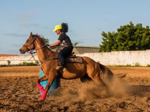 A jornada de Ivanildo Honorato de Lima e o pioneirismo no Três Tambores no Maranhão