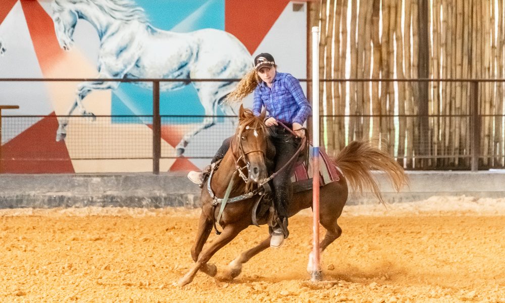 Cavalo Árabe obtém novo recorde nacional na Seis Balizas