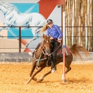 Cavalo Árabe obtém novo recorde nacional na Seis Balizas