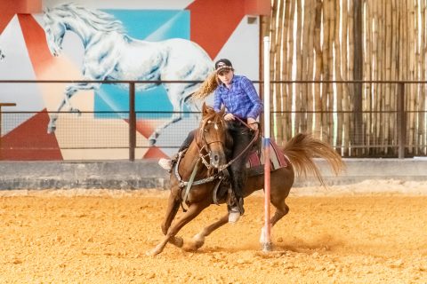 Cavalo Árabe obtém novo recorde nacional na Seis Balizas