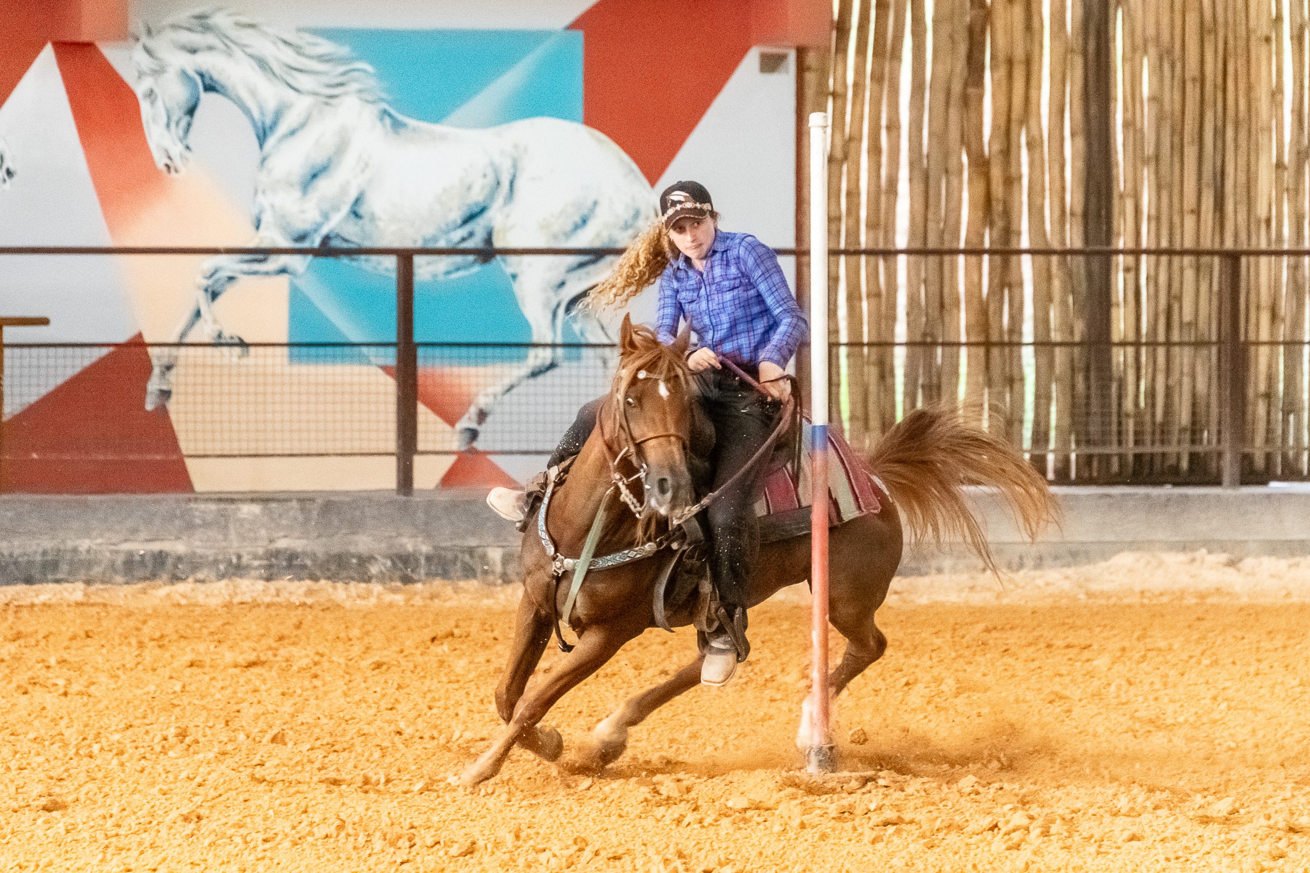 Cavalo Árabe obtém novo recorde nacional na Seis Balizas