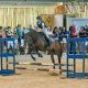 Disputas de Salto e Hipismo Rural marcam o primeiro fim de semana de exposição do Cavalo Árabe em Tatuí