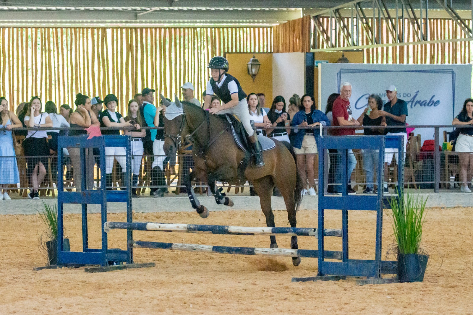 Disputas de Salto e Hipismo Rural marcam o primeiro fim de semana de exposição do Cavalo Árabe em Tatuí