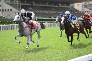 Emoção até o último galope: Rubicon Rach vence a sétima etapa do Prêmio President UAE Cup For Colts & Fillies