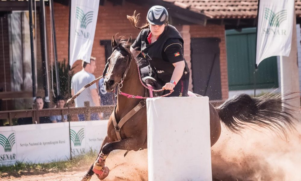 Exposição Nacional do Cavalo Árabe de Esporte retorna nesta quarta-feira (0811) com provas em Tatuí
