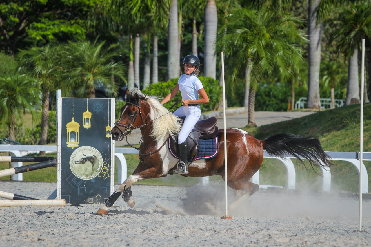 Exposição Nacional do cavalo Árabe de Esporte começa neste sábado (0411) em Tatuí