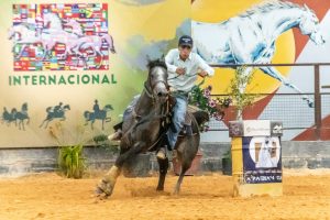 Exposições do Cavalo Árabe em Tatuí (SP) elevam a excelência da raça