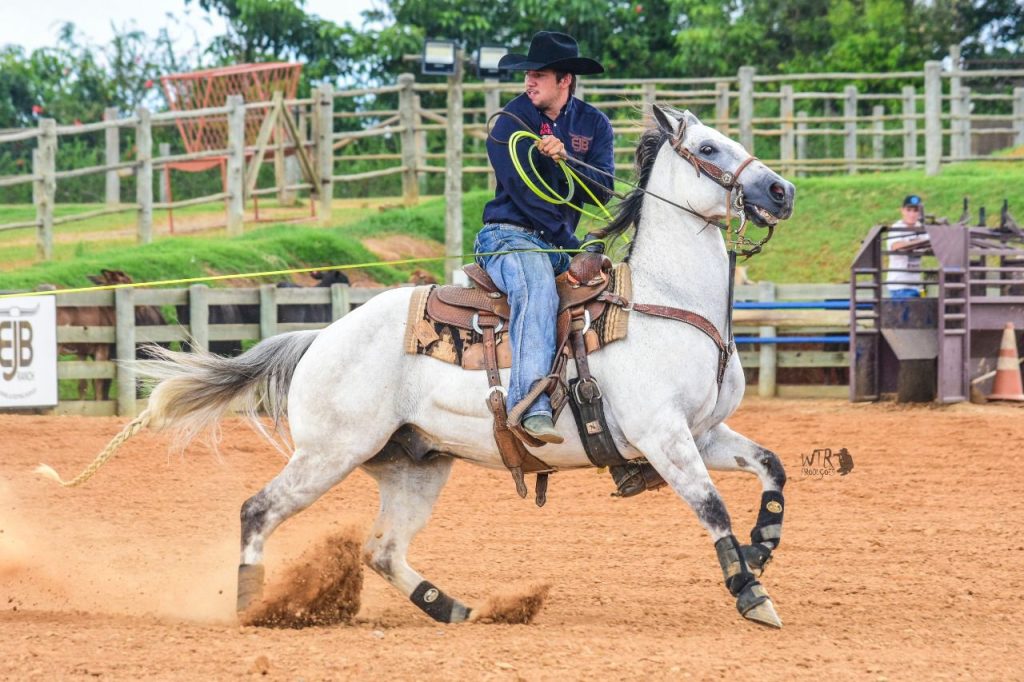 Futuro do QM: Guilherme Bernal