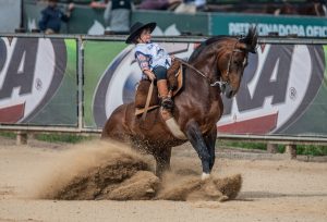 Futuro do Cavalo Crioulo faz sua estreia na arena coberta para a final do Freio Jovem