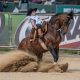 Futuro do Cavalo Crioulo faz sua estréia na arena coberta para a final do Freio Jovem