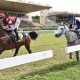 Grande Prêmio Nacional do Cavalo Árabe agita o Jockey Club de São Paulo neste sábado