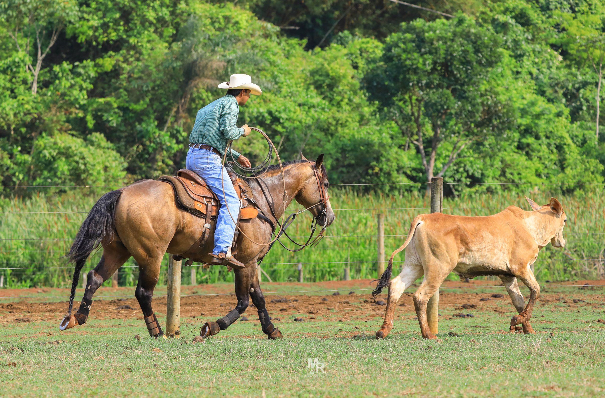 Marcos Oliveira e a sua história no meio do cavalo e no treinamento de Laço - Parte 1