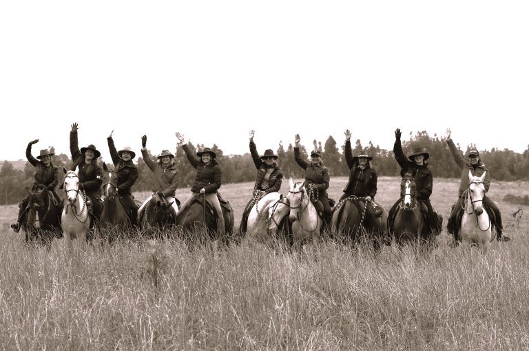 Mulherada se reúne uma cavalgada 100% feminina com Mangalarga Marchador