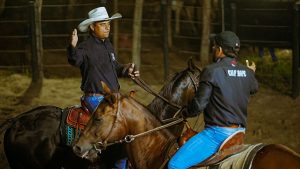 Calendário oficial das provas do Campeonato Baiano de Ranch Sorting 2024 é lançado e estreia terá chancela ABQM