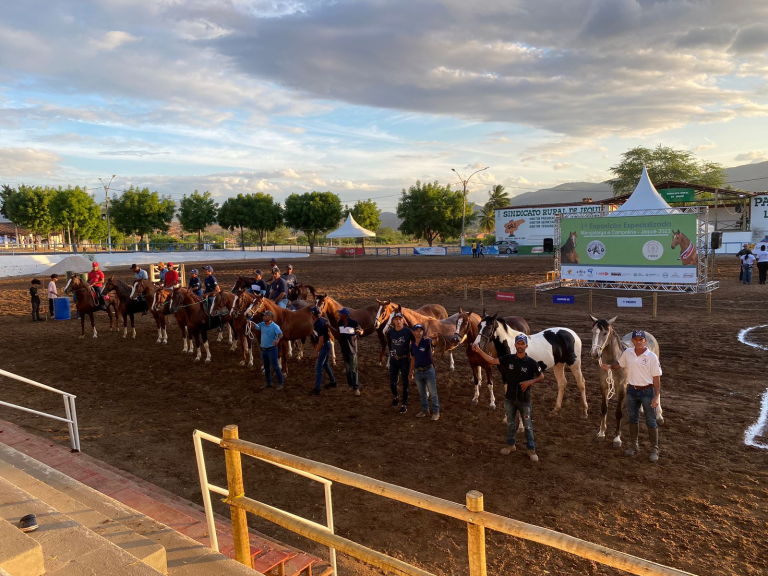 Cidade de Jequié (BA) recebe a 1ª Exposição Especializada em Cavalos Mangalarga e Campolina