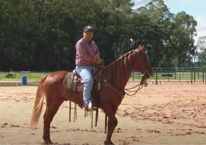 Confira quatro exercícios para cavalos novos em formação