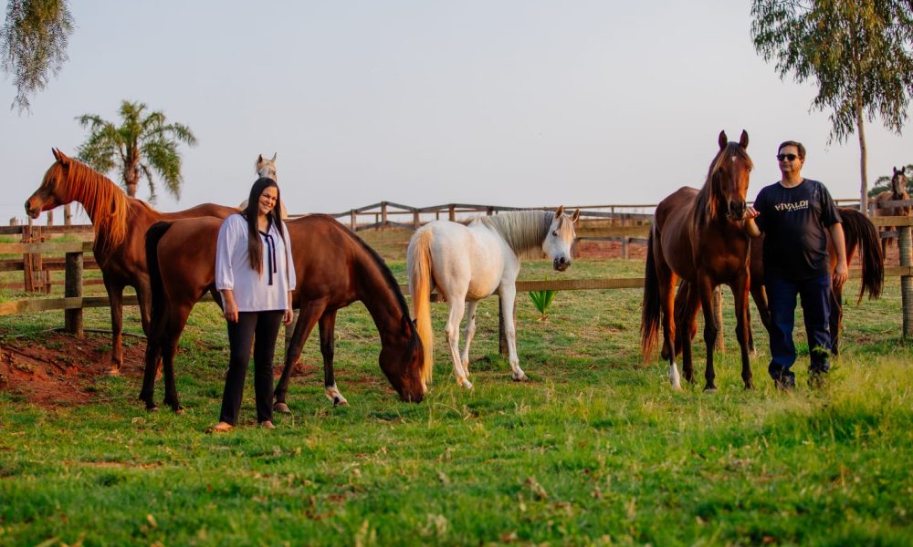 Haras ESJ Arabians contribui fortemente para o fomento do cavalo Árabe