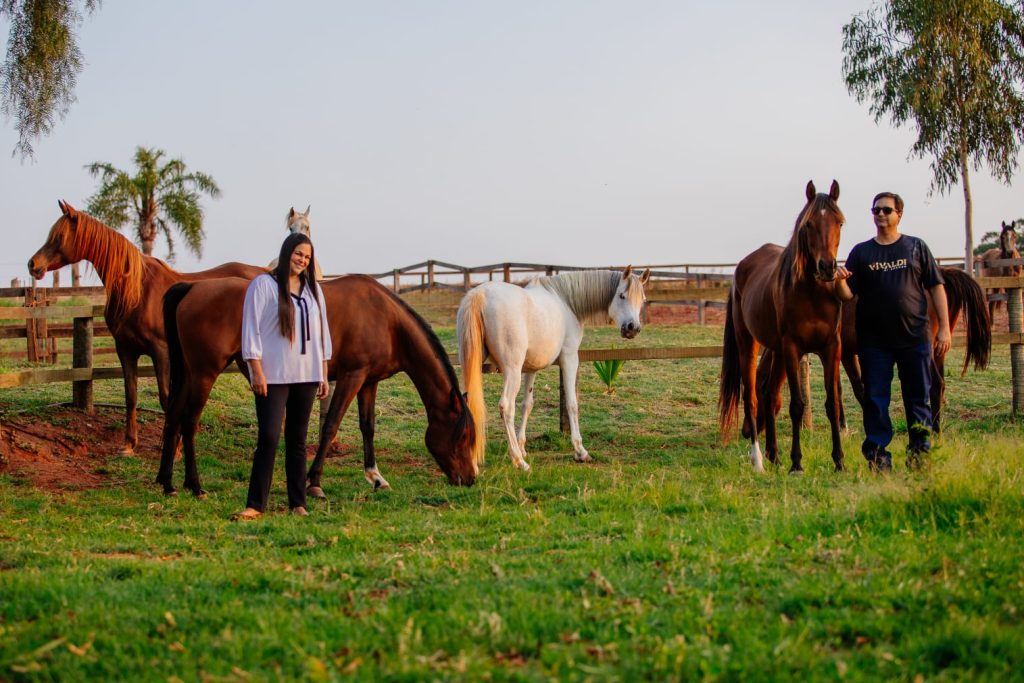 Haras ESJ Arabians contribui fortemente para o fomento do cavalo Árabe