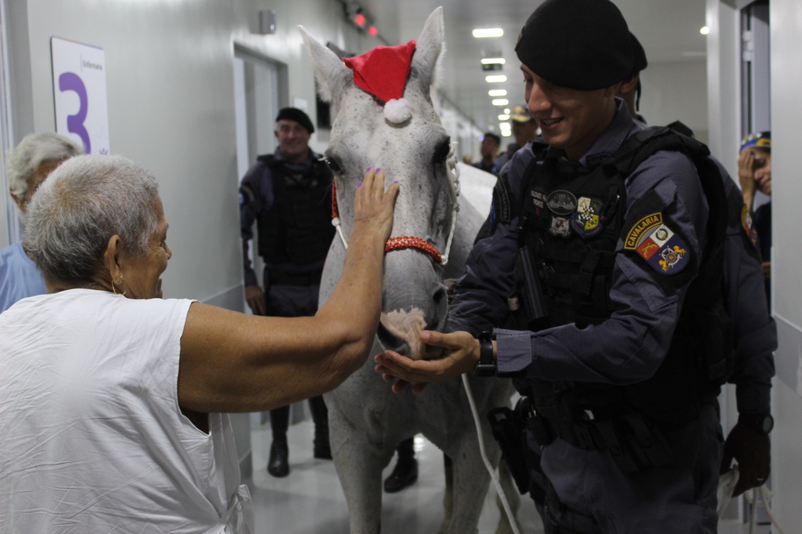 Pacientes recebem visita de um cavalo no Hospital de Câncer em Cuiabá